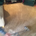 Dirty-Carpet-Cleaned-Evanston
