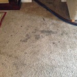 Dirty-Carpet-Evanston-WA