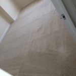 Evanston-Carpet-Clean-room