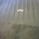 Evanston-Carpet-Cleaning-Carpet-Cleaning