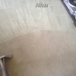 Evanston-Carpet-Cleaning-Company