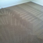 Evanston-Carpet-Cleaning-Wall-To-Wall