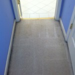 Evanston-Vomit-2-after-carpet