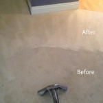 Steam-Carpet-Cleaning-Evanston